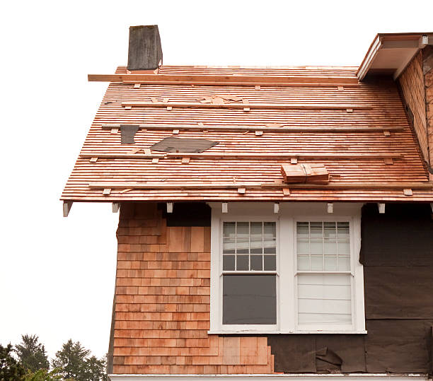 Best Storm Damage Siding Repair  in USA